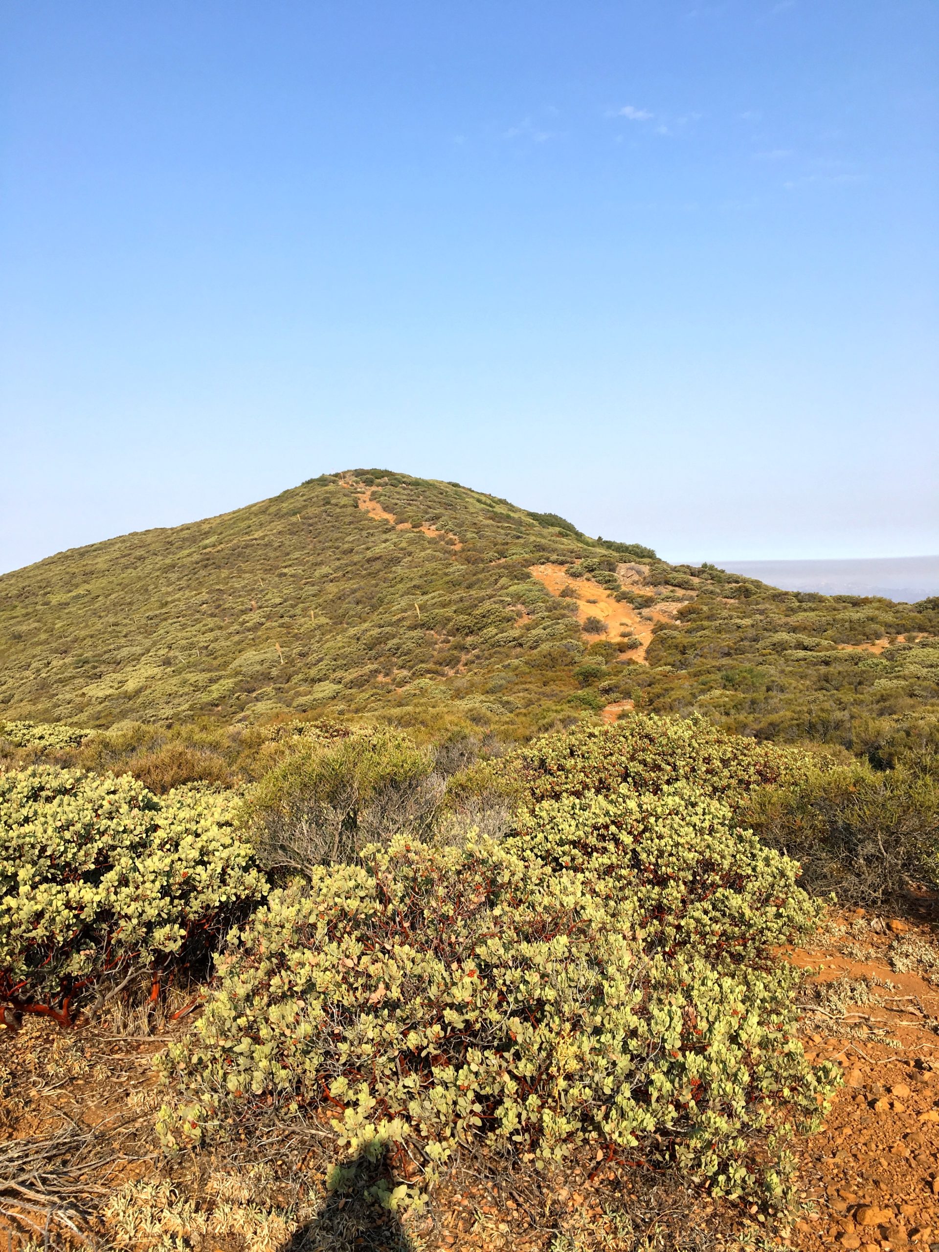 Guatay Mountain San Diego Peak Bagging