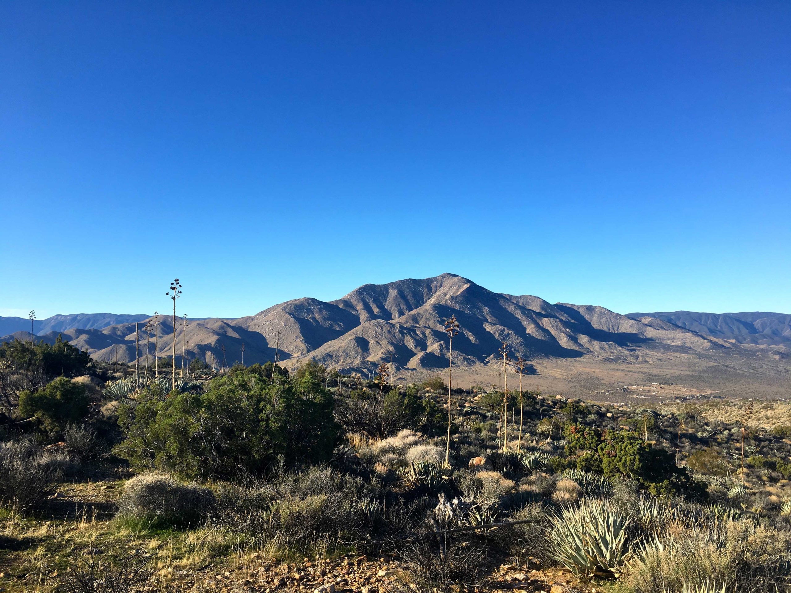 North Pinyon Mountain (Peak 3640) San Diego Peak Bagging