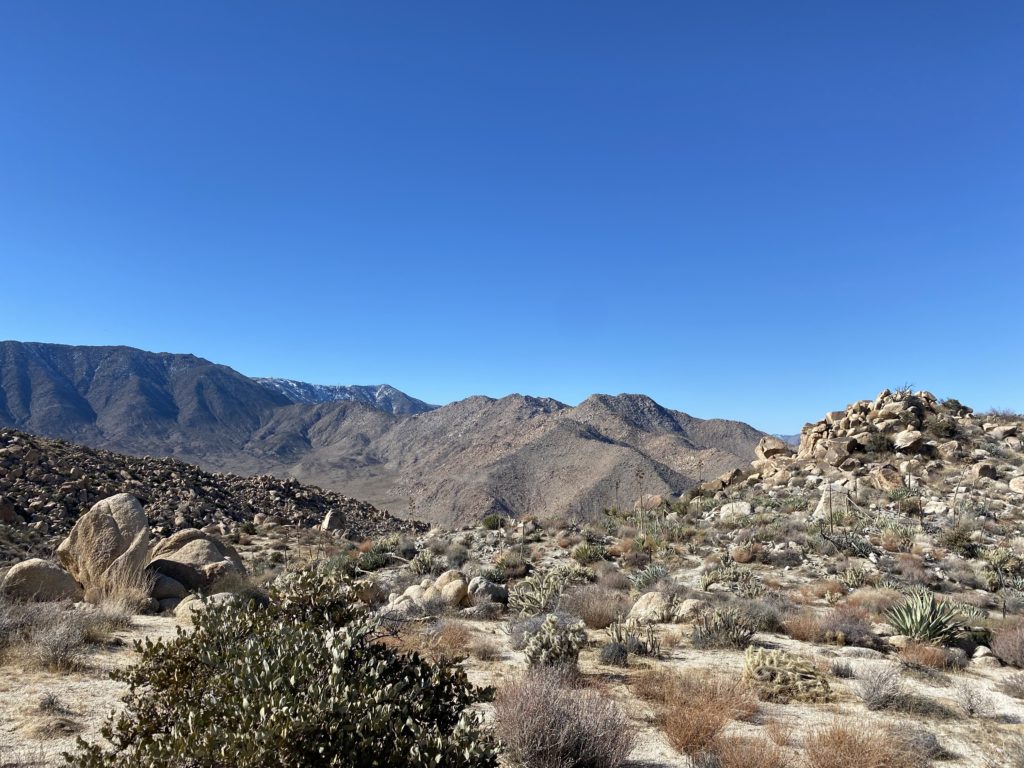 Sawtooth and Red Top