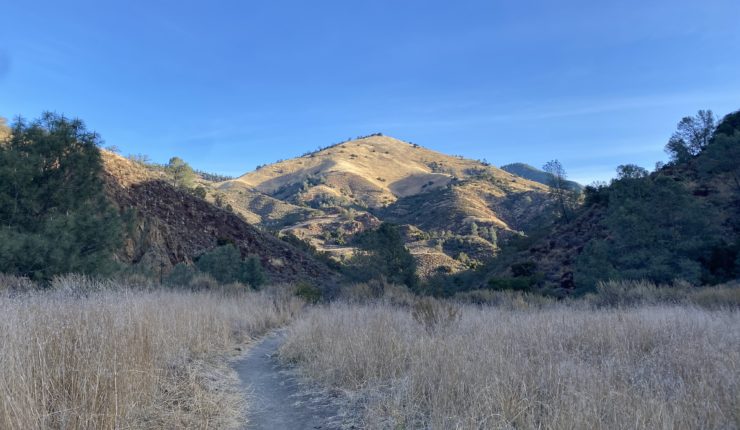 Grass Mountain