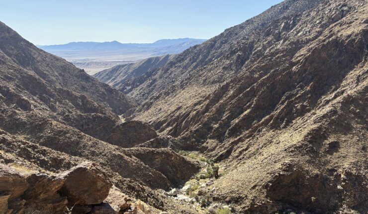 Into Borrego Palm Canyon…