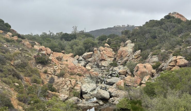 National Trails Day – Penasquitos Canyon