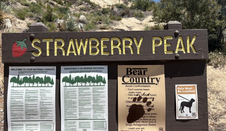 Sweating on Strawberry Peak