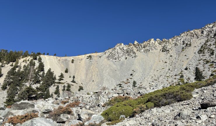 Up the Baldy Bowl Trail