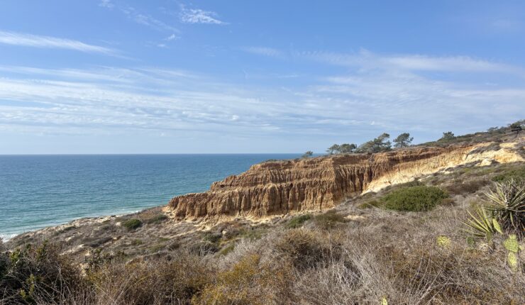 Exploring Torrey Pines State Park