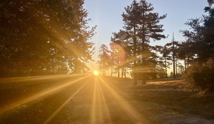 Thomas Mountain Loop