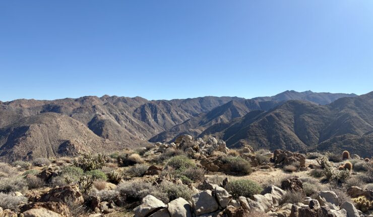 Ascending Grunt Benchmark