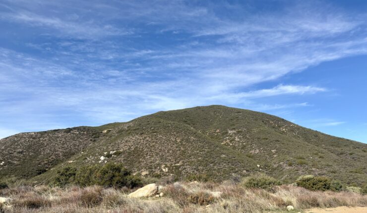 Bushwhacking to Buckman Benchmark