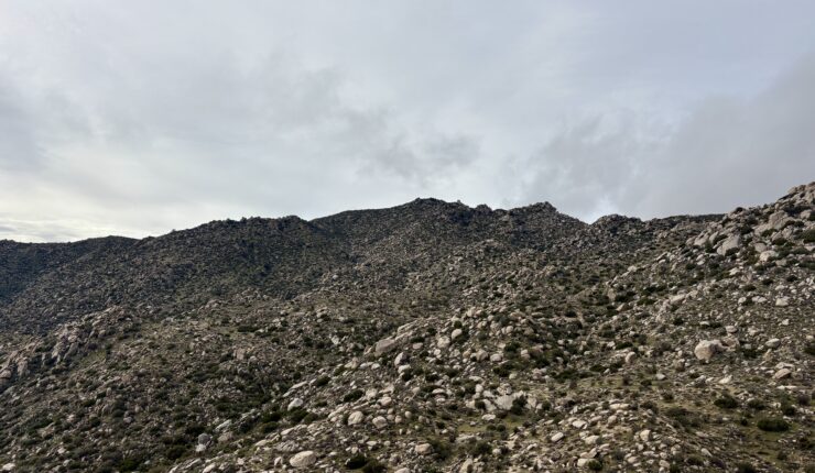 Returning to Goat Benchmark