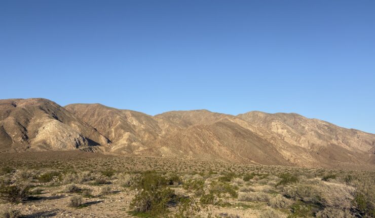 Returning to Coyote Mountain