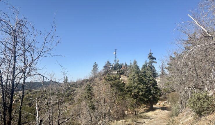 Strolling up Mount R