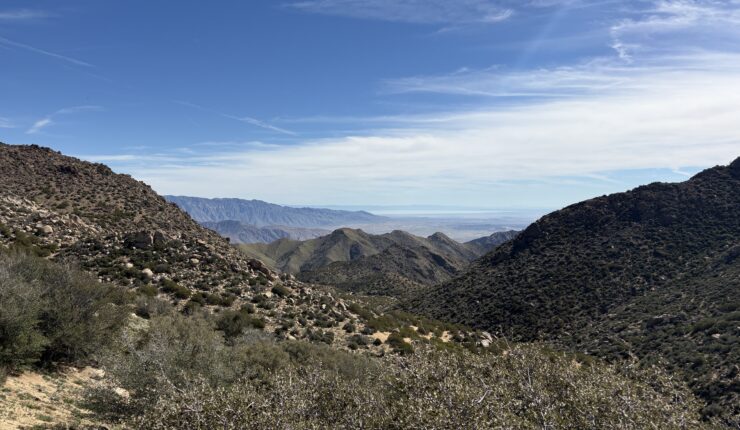 Exploring Cody & Pike Benchmarks, again