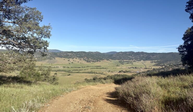Along the Coast to Crest Trails…